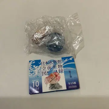 일본 수족관 입체 생물 도감 제2권 오무가이