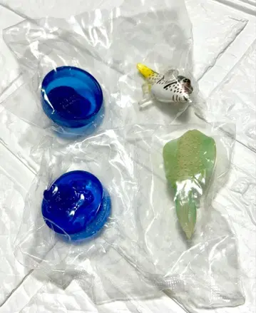 일본 수족관 입체 생물 도감 5 아오리 오징어 줄무늬 복조리 복어 병뚜껑