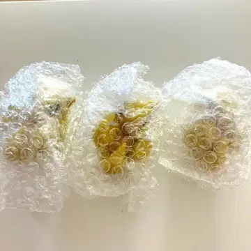 포켓몬 웅크리기 샌드 3종