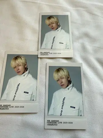 하세가와 신 스티커 카드