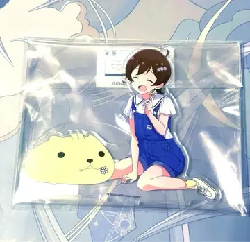 키노시타 히나타 카피바라 씨 히다마리 씨 아크릴 스탠드