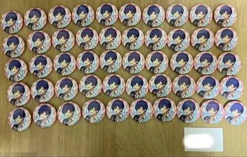 이레이스 If 등신대 캔뱃지