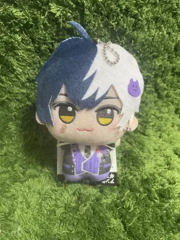 AMPTAKxCOLORS SD 인형 마제타