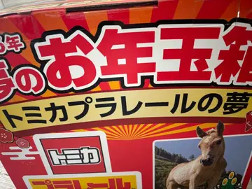 [ 미개봉 새상품 ] 토미카 프라레일의 꿈