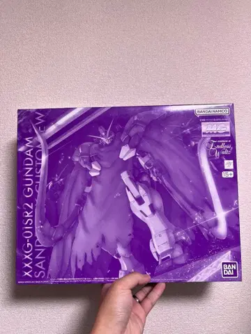 MG 1/100 건담 산드로크 개 EW