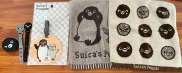 Suica 펭귄 세트