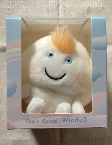 [ 후지이 카제 윈디 Windy 짱 ]