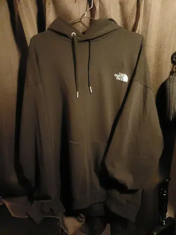 THE NORTH FACE 네버 스탑 아이엔지 후디