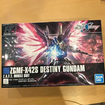 HG 1/144 디스티니 건담