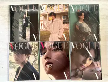 BTS V 태태 VOGUE 6권 세트 (한글 번역 포함)