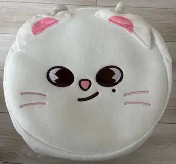 skzoo straykids 지니레트 토트백