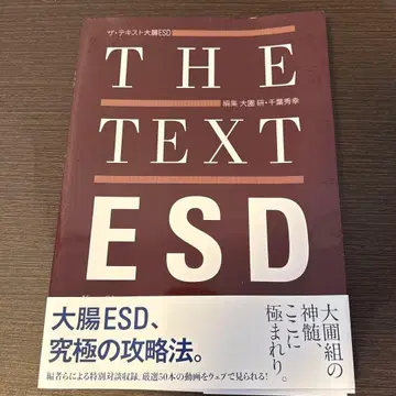 더 텍스트 대장 ESD