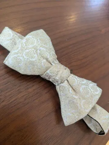 실크제 베이지 골드 나비 넥타이