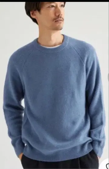 그린 라벨 x 해밀턴/RCN 래글런 크루넥 니트