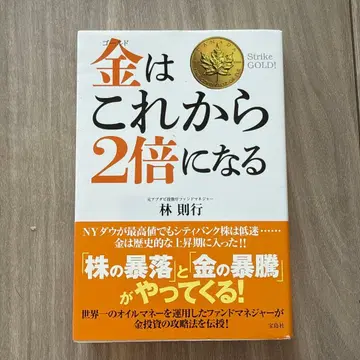 금(골드)은 이제부터 2배가 된다