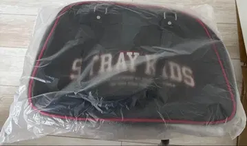 스트레이 키즈 straykids 스키즈 dominATE 보스턴 백