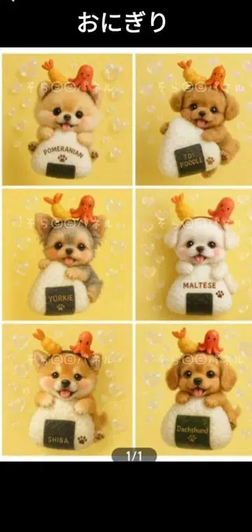 접수 507 오니기리