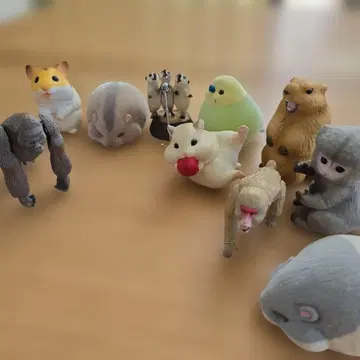 동물 여러 가지