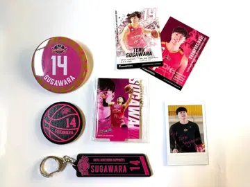 아키타 노던 하피네츠 스가와라 히카루 선수 굿즈