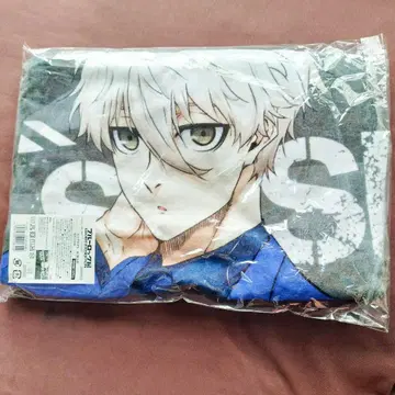 블루 록전 에고전 빅 타월 나기 세이시로