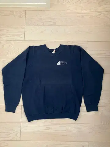 프룻 오브 더 룸 90s USA제 기업 래글런 맨투맨 네이비