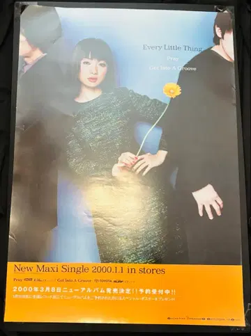 Every Little Thing 포스터 B2 사이즈