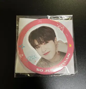 TREASURE FC 캔뱃지 정환 JUNGHWAN