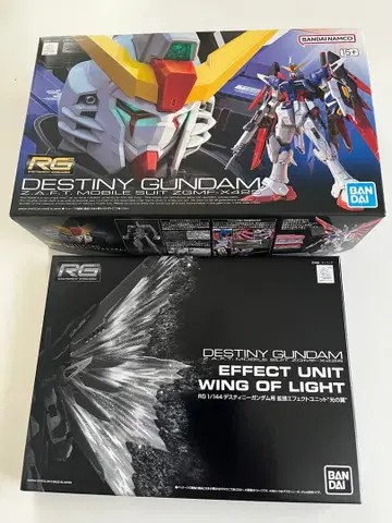 RG 1/144 데스티니 건담 & 빛의 날개 세트