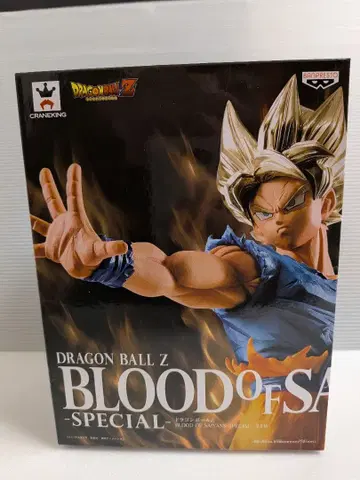 드래곤볼 Z BLOOD of SAIYANS -SPECIAL-