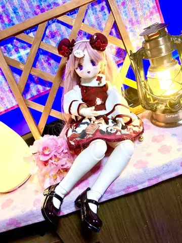 1/4 인형 본체 의류 포함 [ 은퇴 상품 ]