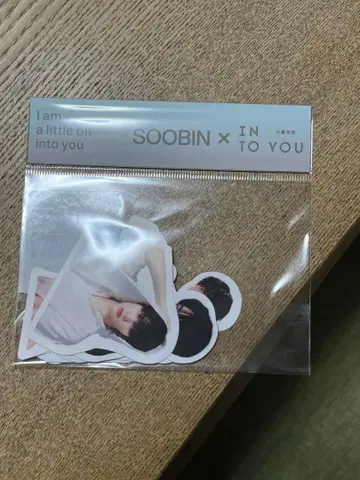SOOBIN x IN TO YOU 스티커 세트