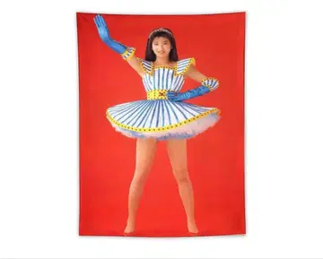 모리타카 치사토 태피스트리 벽걸이 커튼 이불 새상품 비실력파 선언 c