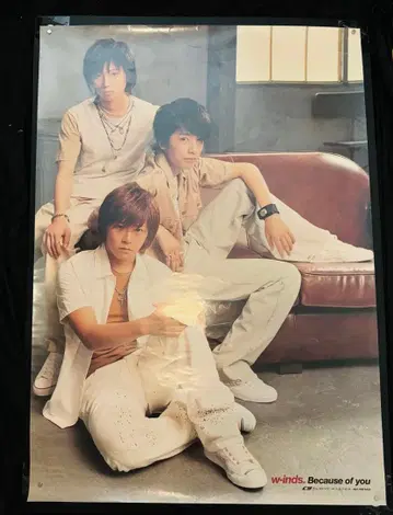 w-inds. Because of you 포스터 B2
