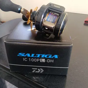 솔티가 ic100PL-DH