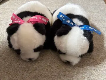 우에노 동물원 팬더 봉제 인형