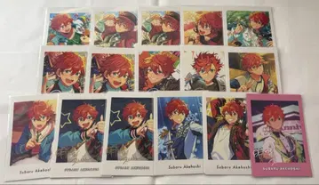 앙스타 아케호시 스바루 카드류 16장