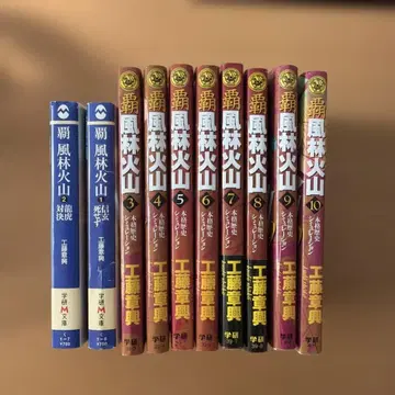 패풍림화산 전 10권 세트