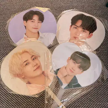 SEVENTEEN 정한 부채