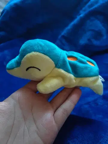 포켓몬 센터 히노아라시 흐물흐물 봉제 인형