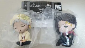 트위스테 어깨 쿵 Fig. 스칼라비아