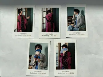 소라루 폴라로이드풍 카드