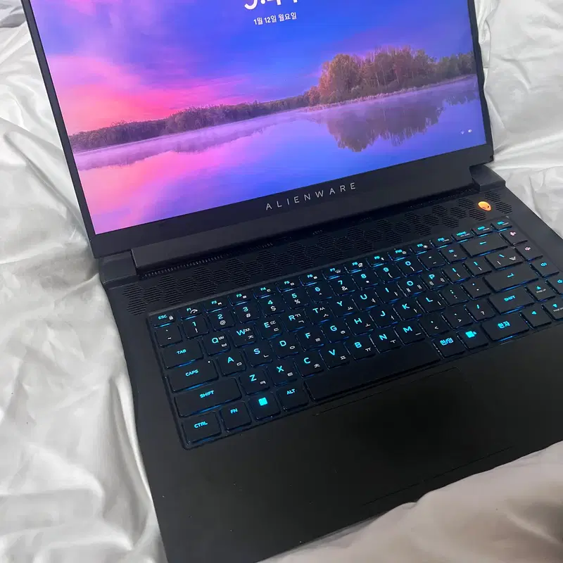 델 게이밍 노트북 Dell Alienware m15 R7 3080Ti