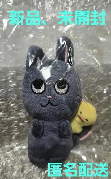 [ 공식 ] RIIZE 원빈 토냥이 봉제 인형 10cm