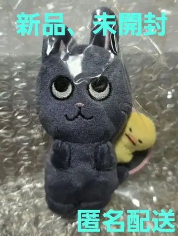 [ 공식 ] RIIZE 원빈 토냥이 봉제 인형 10cm