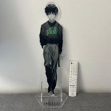 RADIOEVA 빅 아크릴 스탠드 신지 BIG 아크릴 스탠드