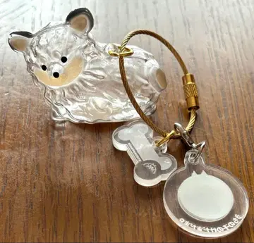 우리 아이 털뭉치 강아지 털뭉치 치와와