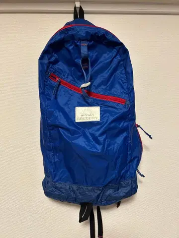 그레고리 데이팩 LT 백팩 파랑 포켓터블 패커블 GREGORY