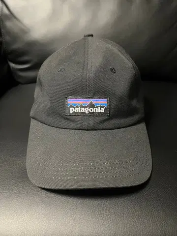 Patagonia 블랙 캡