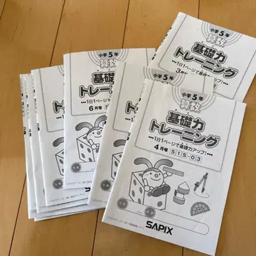 기초력 트레이닝 초등 5학년 연간 sapix 사피스