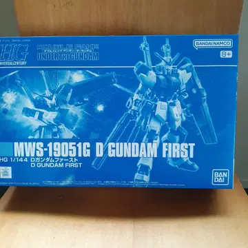 HG 1/144 D GUNDAM FIRST